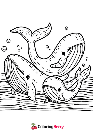 Whale Family