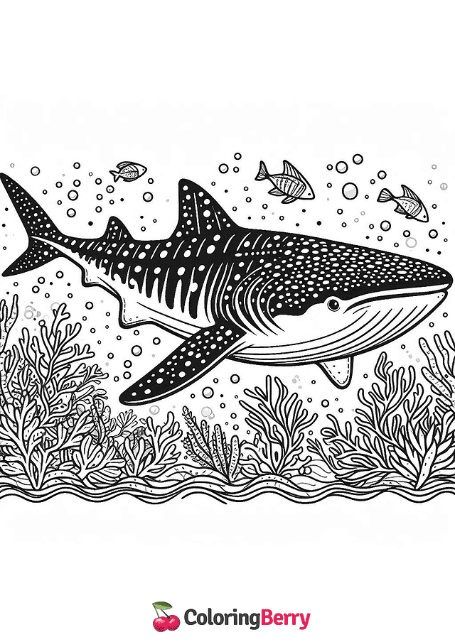 Whale Shark Coloring Page