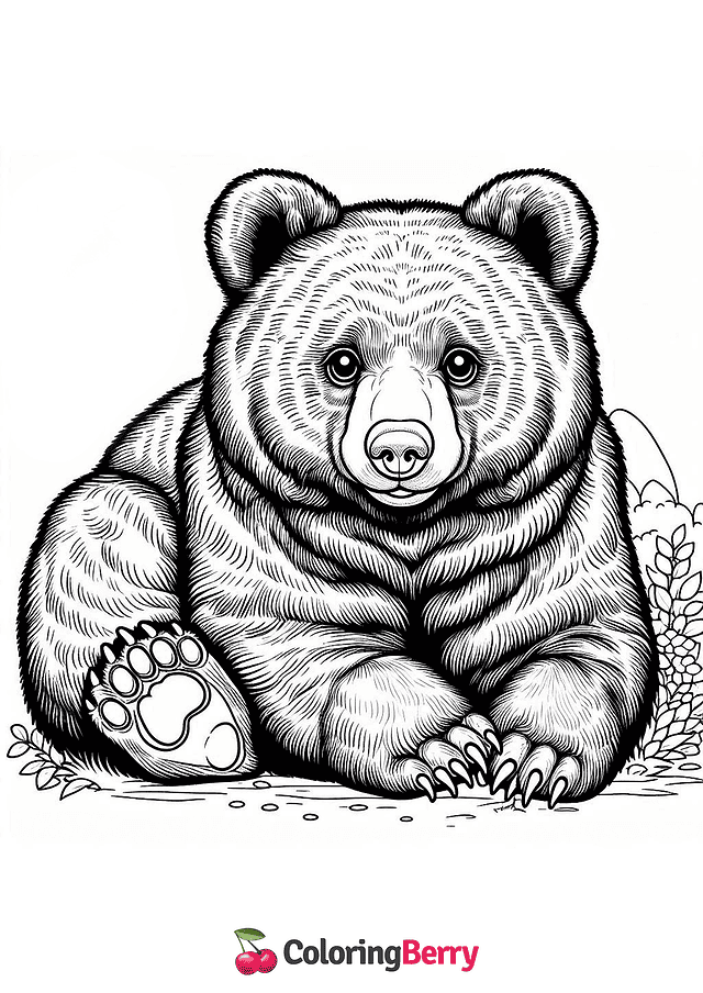 White-chested Bear Coloring Page