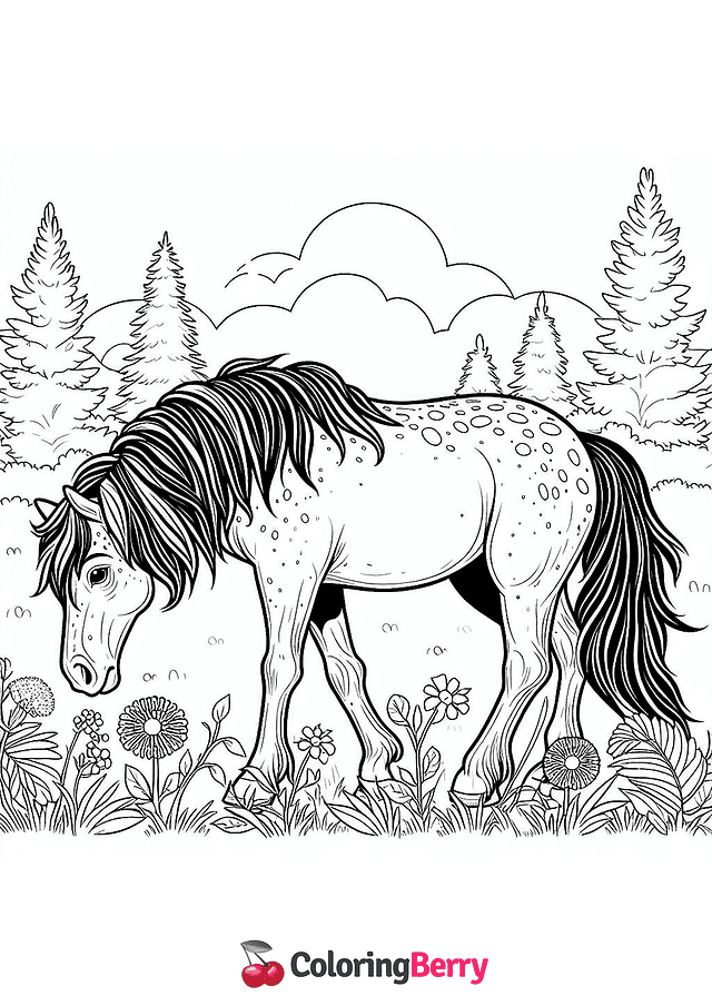 Wild Horse Coloring Page