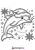 Winter Dolphin