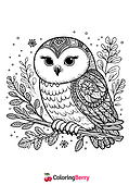 Winter Owl