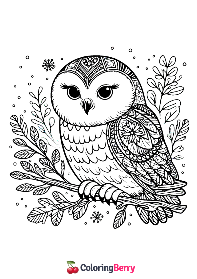 Winter Owl Coloring Page