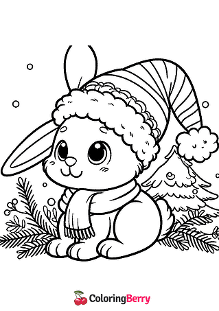 Winter Rabbit