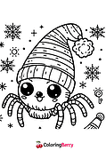 Winter Spider