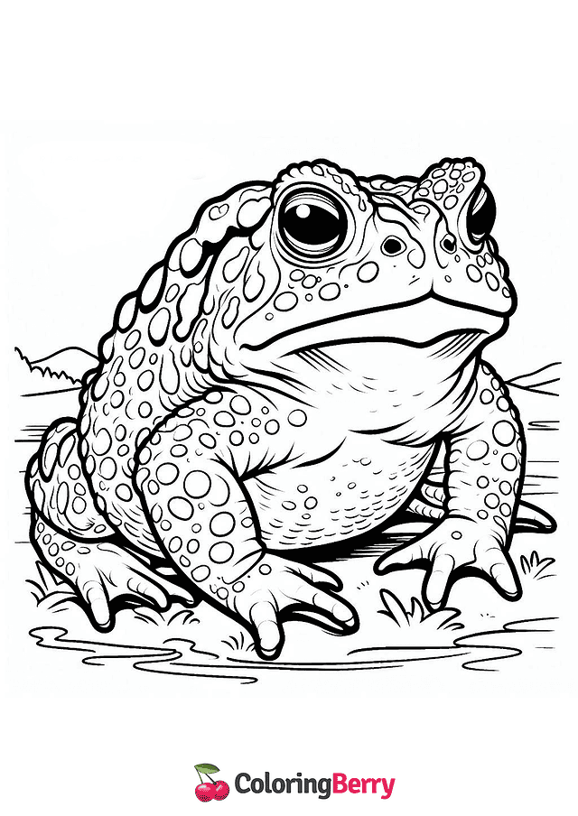 Wyoming Toad Coloring Page