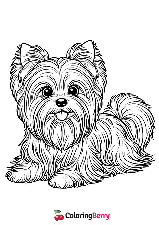 Yorkie Coloring Page