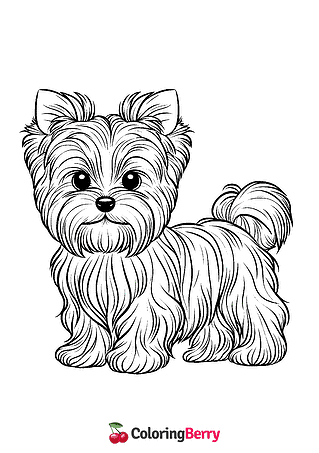 Yorkie Dog Coloring Page