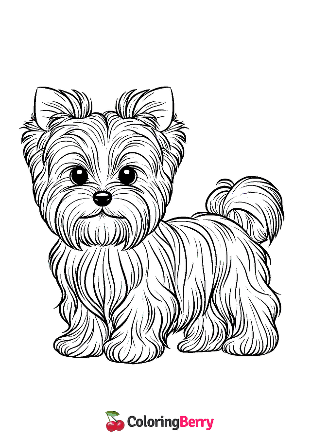 Yorkie Dog Coloring Page